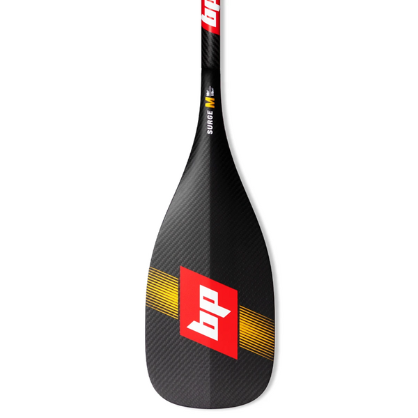 2025 Black Project Surge